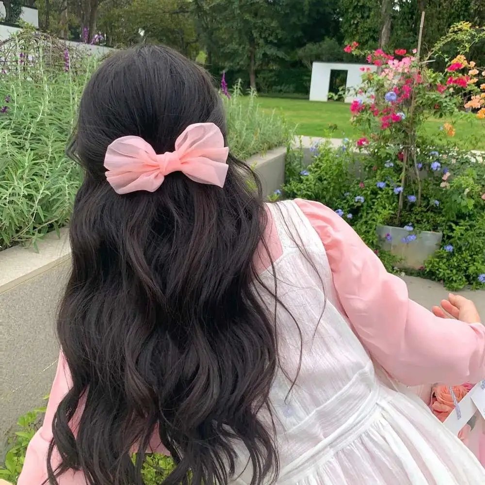 小太阳达芬妮